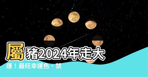 1995屬豬幸運色|1995年屬豬的幸運色 提升好的運氣